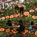 Rain Garden at Fundição Progresso Cultural Center – Rio de Janeiro. Image © Luiz Franco