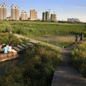 Qunli Stormwater Wetland Park / Turenscape. Courtesy of Turenscape