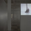 Touchable Distance Exhibition  / Radical Passive - Interior Photography