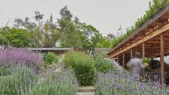 Jardín comunitario el terreno / Vertebral