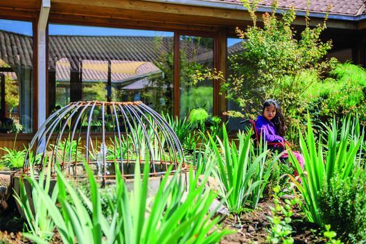 Healing Gardens: Nature as Therapy in Hospitals - Image 5 of 11