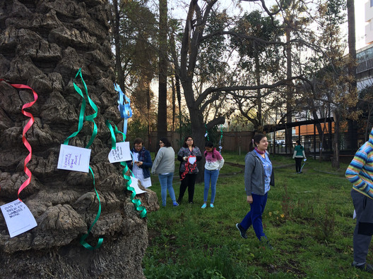 Healing Gardens: Nature as Therapy in Hospitals - Image 11 of 11