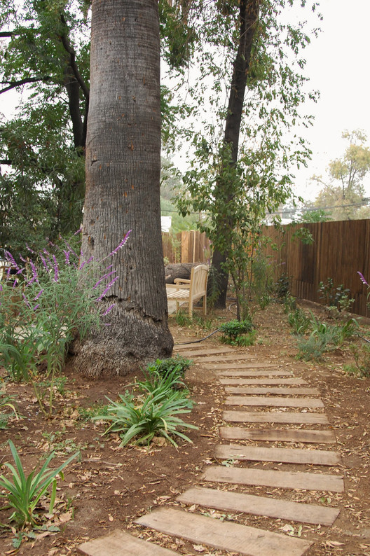 Healing Gardens: Nature as Therapy in Hospitals - Image 7 of 11