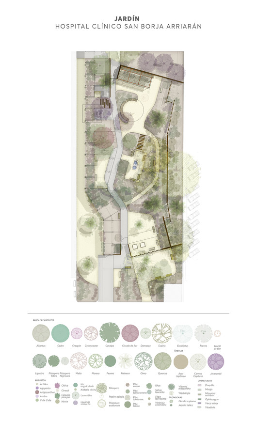 Healing Gardens: Nature as Therapy in Hospitals - Image 10 of 11
