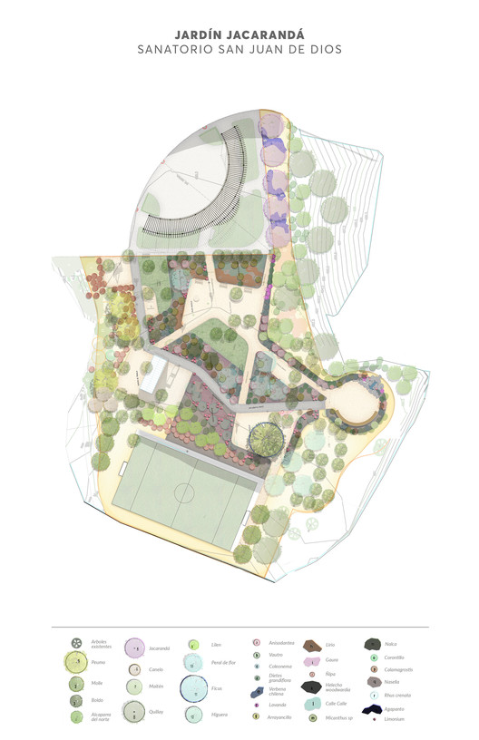Healing Gardens: Nature as Therapy in Hospitals - Image 9 of 11