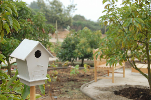 Healing Gardens: Nature as Therapy in Hospitals - Image 6 of 11