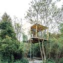 Wiki World Forest Cabins / Wiki World + Advanced Architecture Lab[AaL] - Exterior Photography, Cabins & Lodges