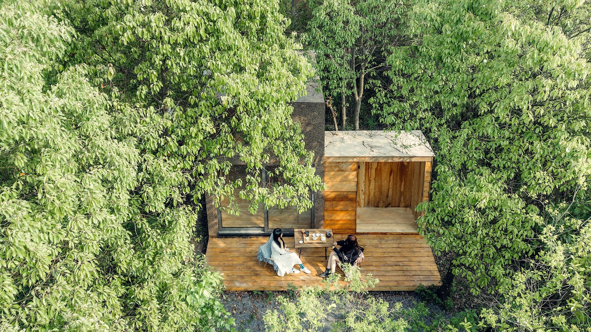 画廊 个个世界-林间木屋 / 个个世界 + 先进建筑实验室AaL - 7