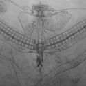 What are linear cities? - Imagen 3 de 4