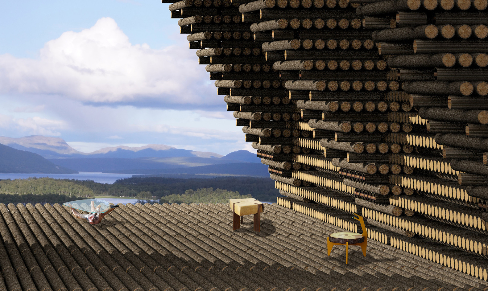 Anders Berensson Architects diseña la estructura de madera más grande del mundo: Un banco para almacenar el mismo material - Imagen 19 de 25