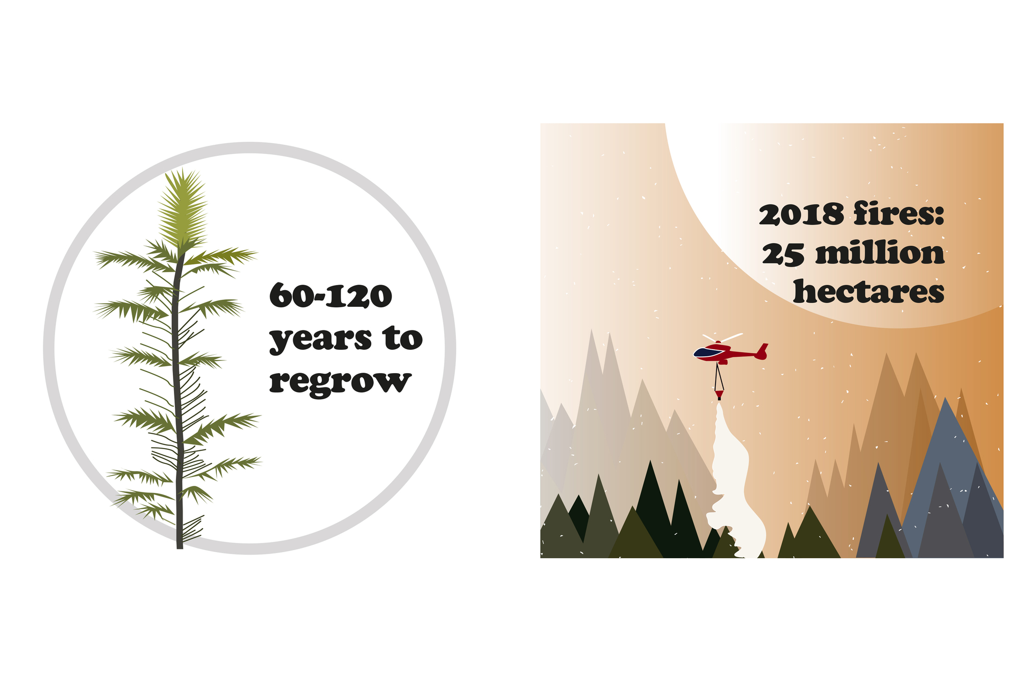 Gallery of World's Largest Timber Structure Unveiled by Anders