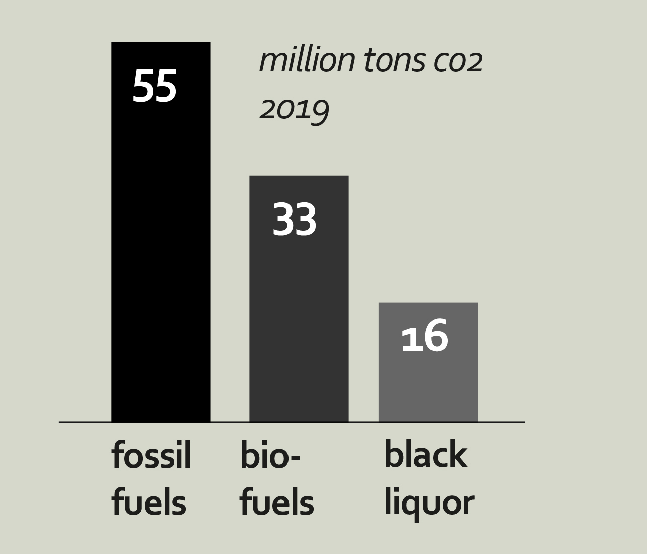 Gallery of World's Largest Timber Structure Unveiled by Anders
