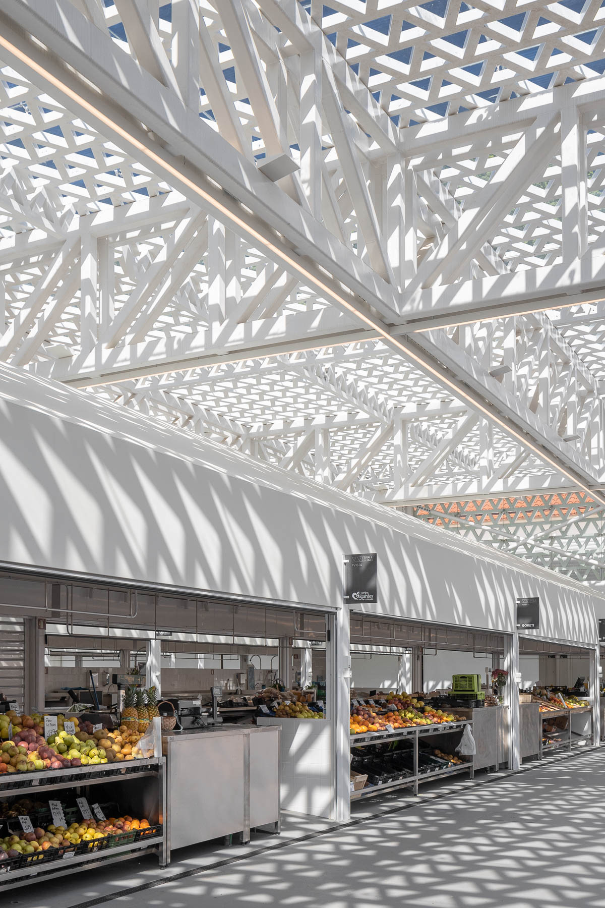 rui-mendes-ribeiro-11