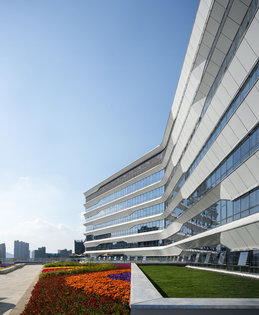 浙北医学中心 / Perkins and Will - 建筑图, 表皮