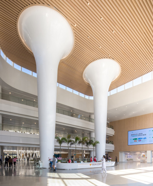 浙北医学中心 / Perkins and Will - 室内图, 柱