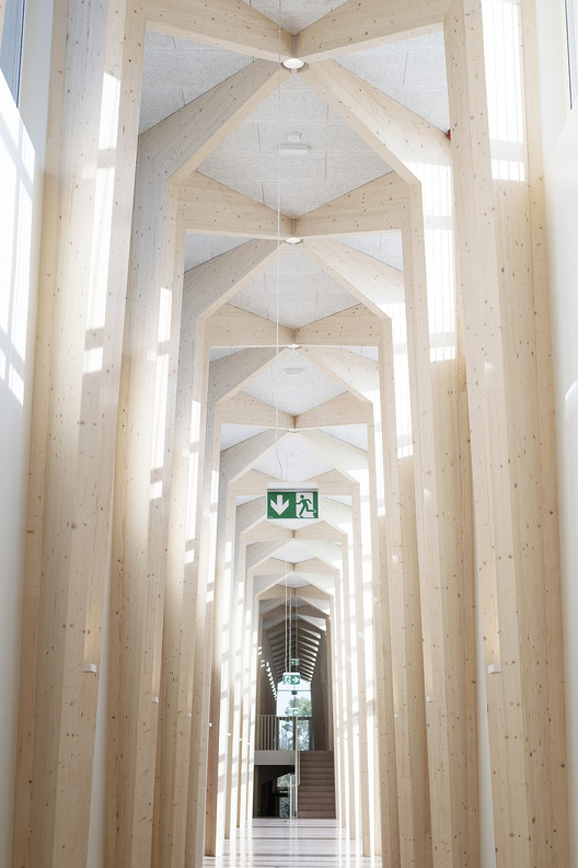 塔比韦雷社区基础学校 / Arhitekt Must 塔比韦雷社区基础学校 / Arhitekt Must - 室内图, 柱