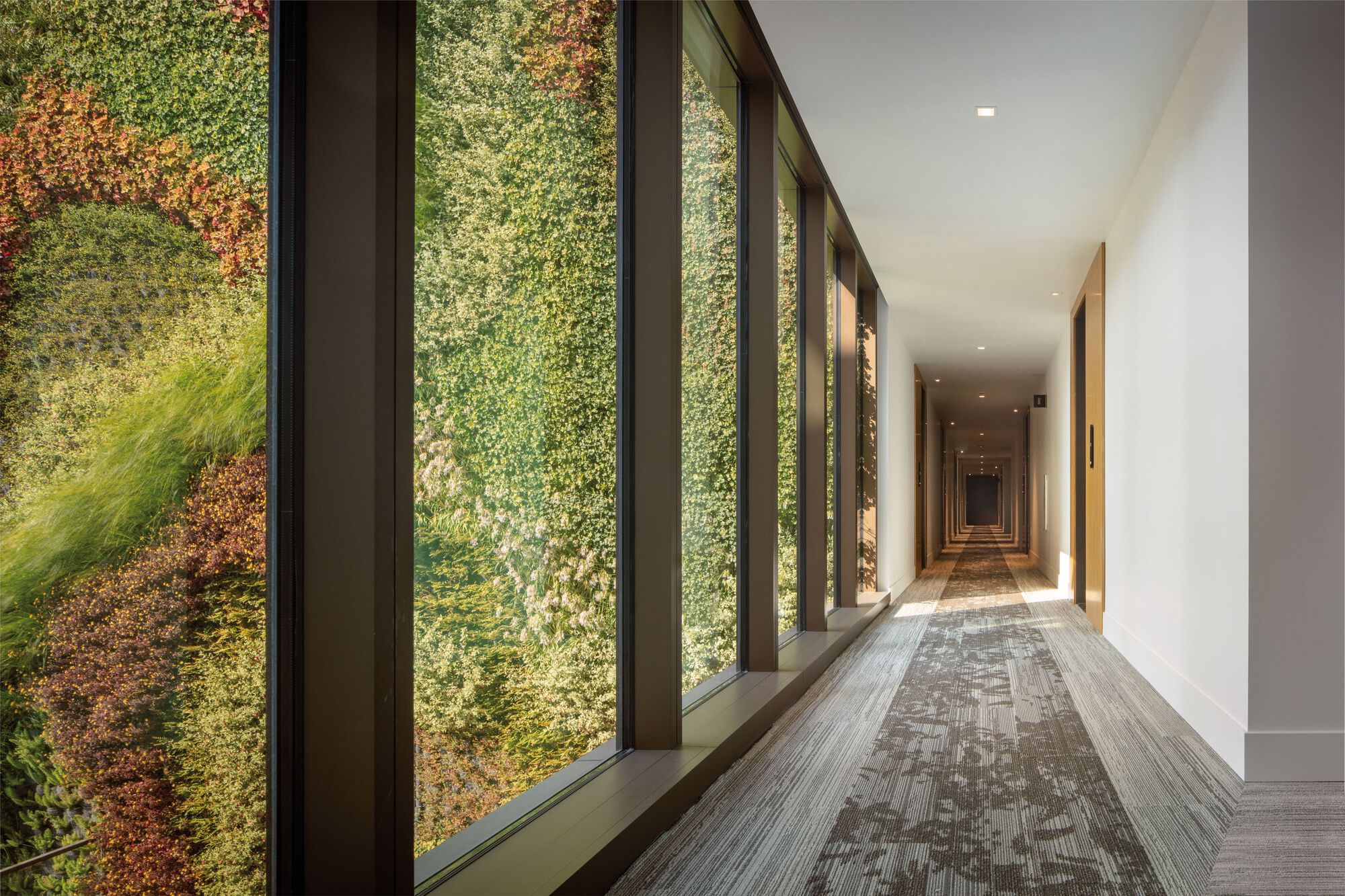 Gallery of 2177 3rd Street Apartments / Woods Bagot 7