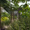 Casa Coronado / Apaloosa Estudio de Arquitectura y Diseño + Simetría Estudio de Arquitectura - Fotografía exterior, Casas, Jardín, Bosque
