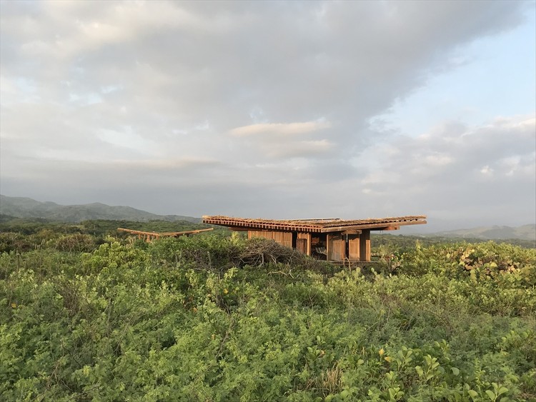 Palm and Straw Roofs: Examples in Mexico That Explore Their Possibilities - Image 9 of 38