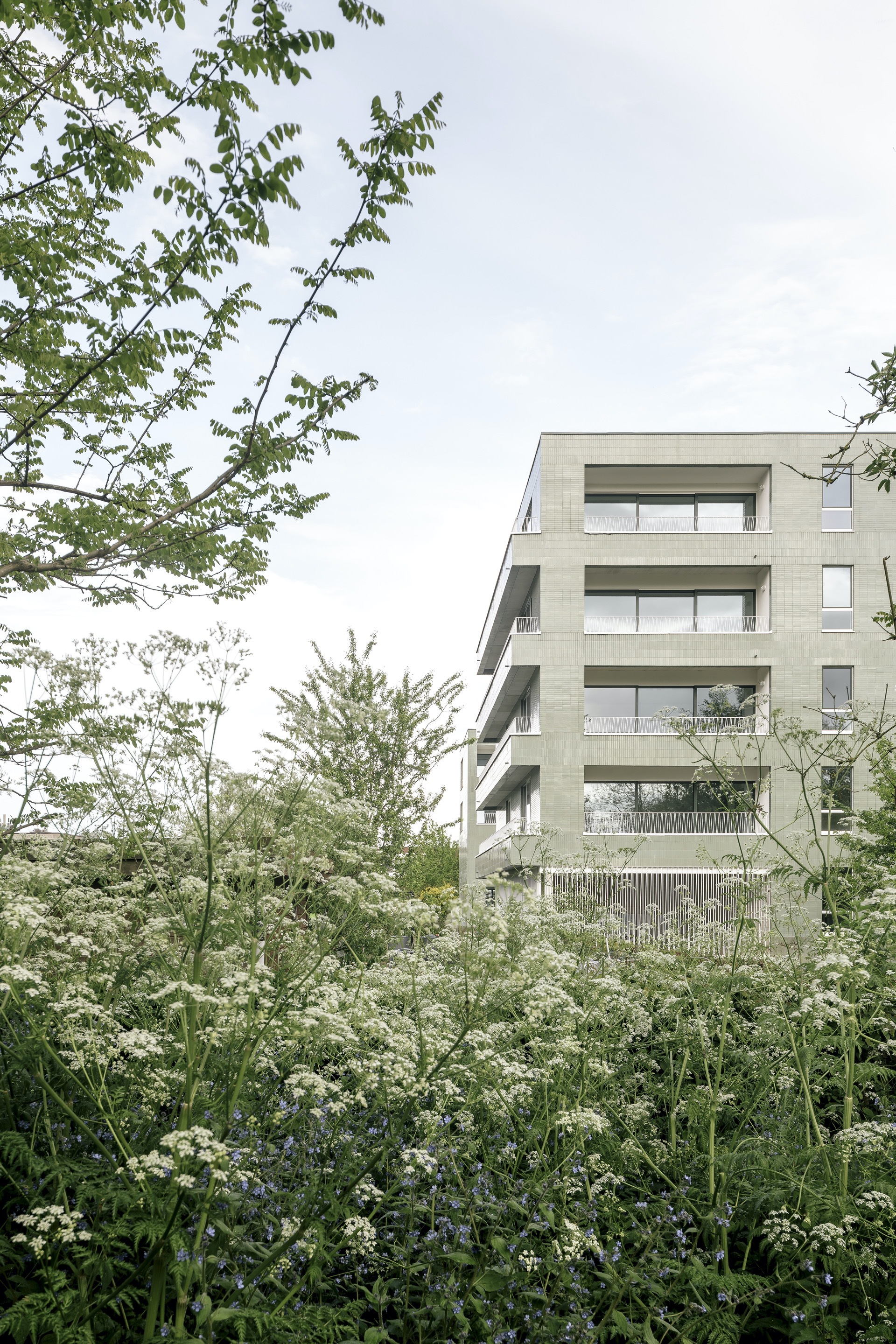 Gallery of Neerland Housing Complex / Barchitecten 11
