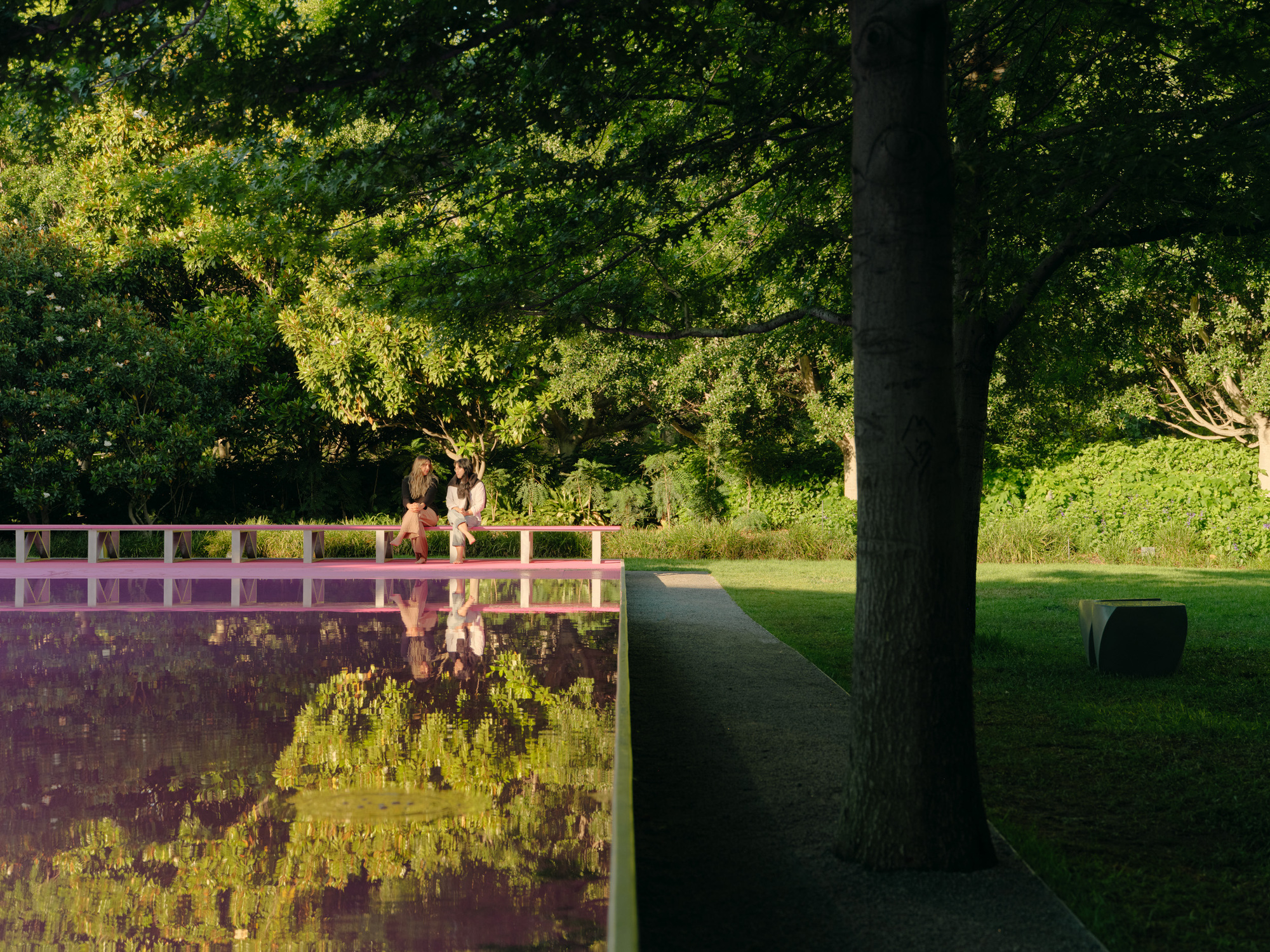 Gallery of Pink Pond / Taylor Knights + James Carey 18