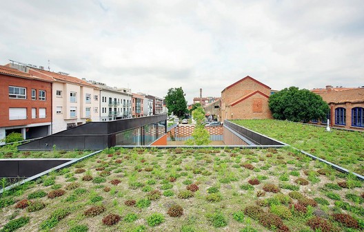 Green roofs: toward more sustainable, biodiverse, and healthy cities - Image 2 of 16