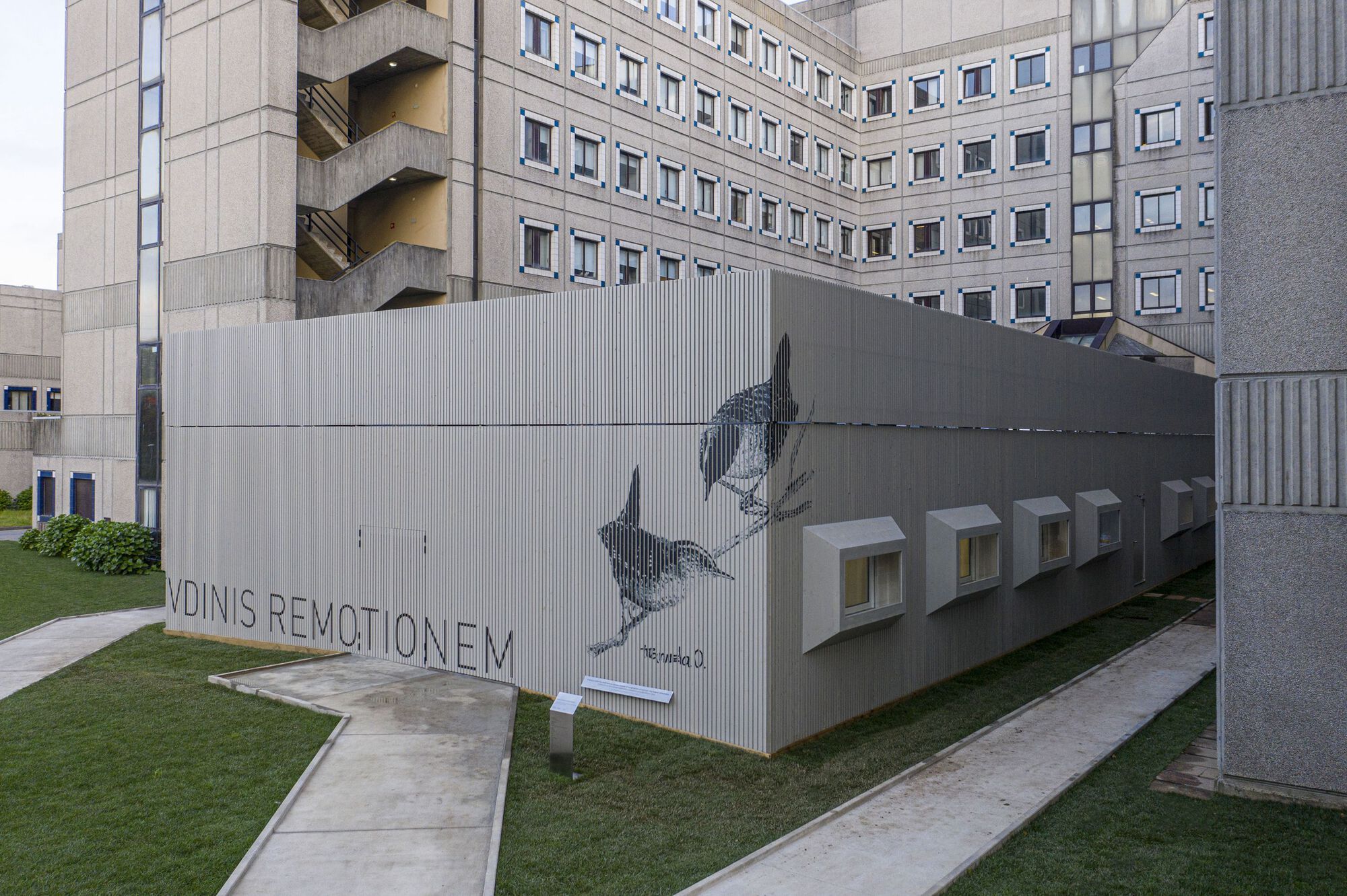 Galeria de ICUPedro Hispano Hospital / Ventura+Partners 5