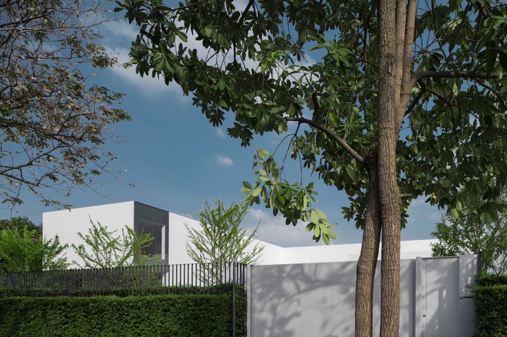 Gallery of Hidden House / Architects 49 - 20