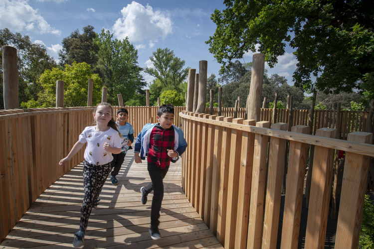 Royal Botanic Gardens, Kew and Museum of Architecture launch the Treehouses at Kew Design Competition - Image 8 of 10