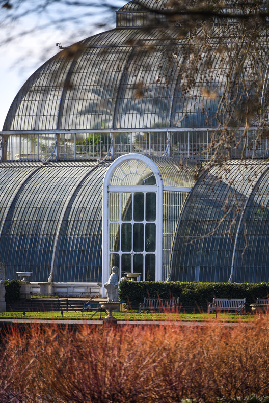 Royal Botanic Gardens, Kew and Museum of Architecture launch the Treehouses at Kew Design Competition - Image 6 of 10