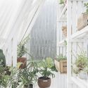 Instalación micro invernaderos / Iván Bravo Arquitectos - Fotografía interior, Jardín, Barandas