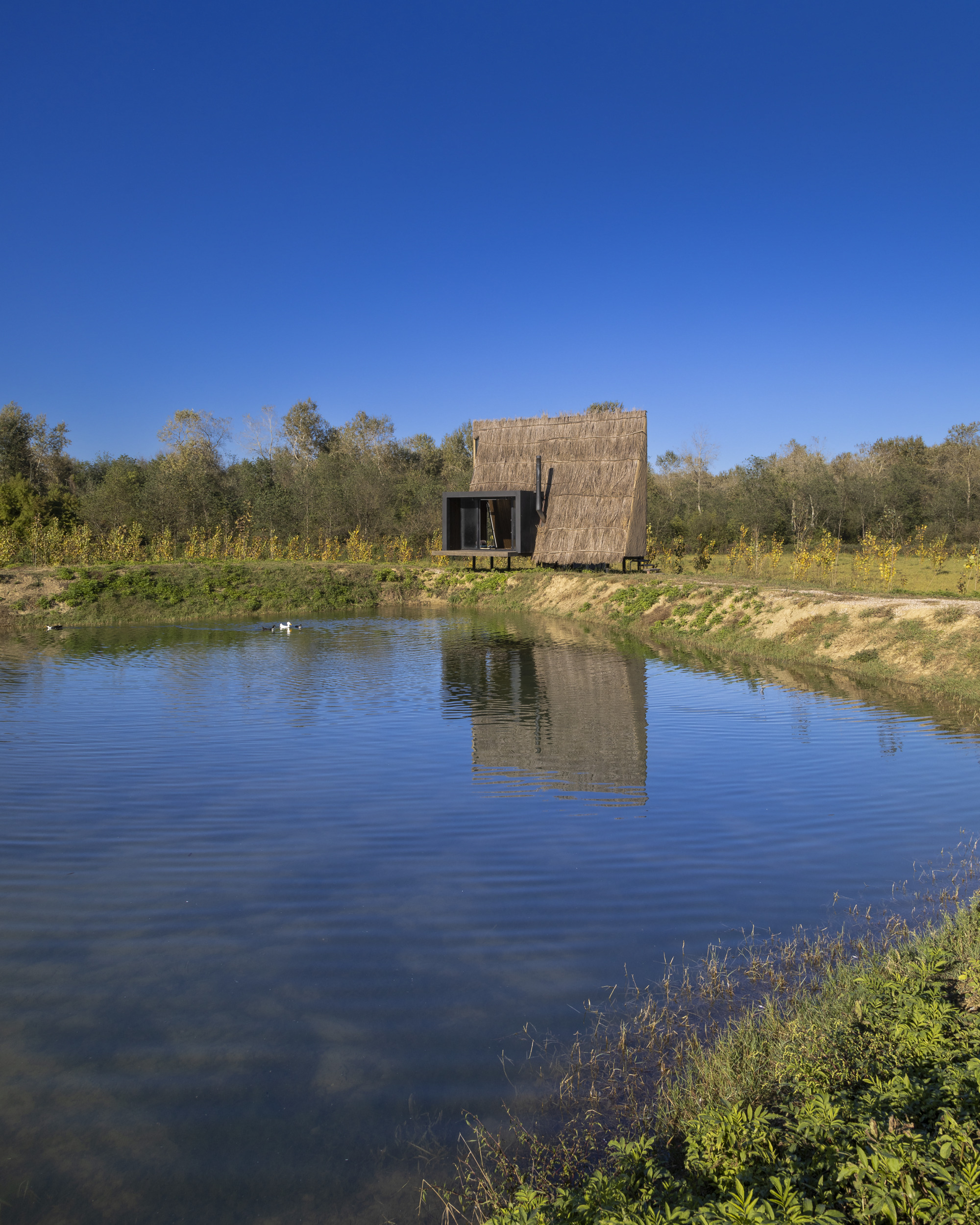 Gallery of Wicker House / Shaygan Gostar Architectural Group 9