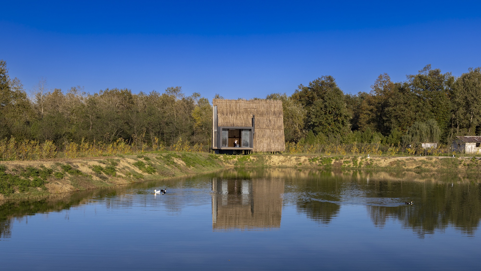 Gallery of Wicker House / Shaygan Gostar Architectural Group 10