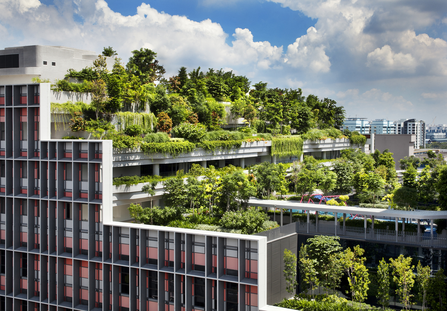 Kampung_Admiralty_by_Ramboll_Studio_Dreiseitl__WOHA_and_Storm._Image__Patrick_Bingham-Hall_(1).jpg