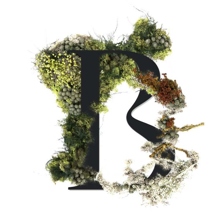 Cartography and Living Materiality: A Traveling Exhibition of the Madrid Metropolitan Forest - Image 16 of 19