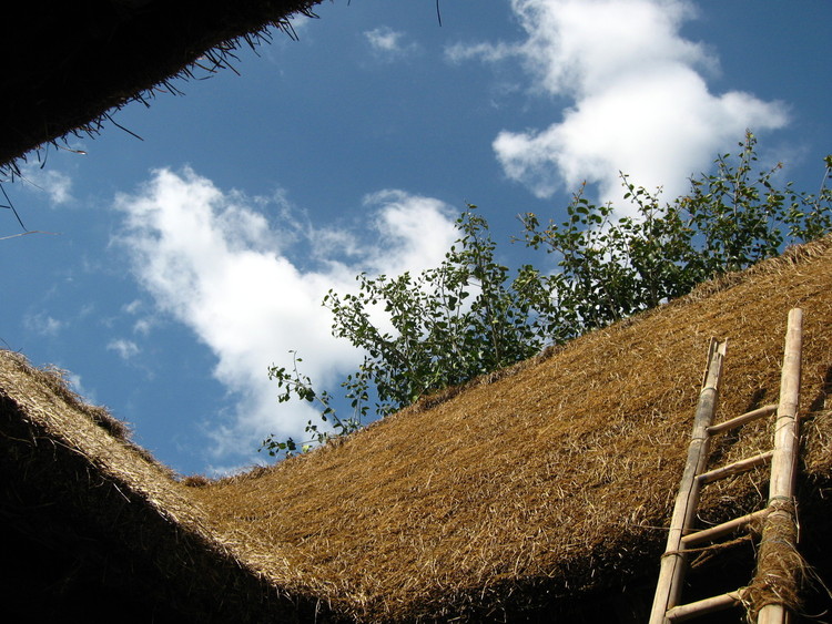 Thatched Roofs: History, Performance and Possibilities in Architecture - Image 8 of 9