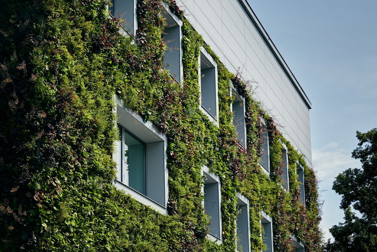Illustration of Green Exterior Walls Design