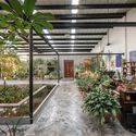 Casa la bodega / Taller Verde Arquitectura - Fotografía interior, Jardín