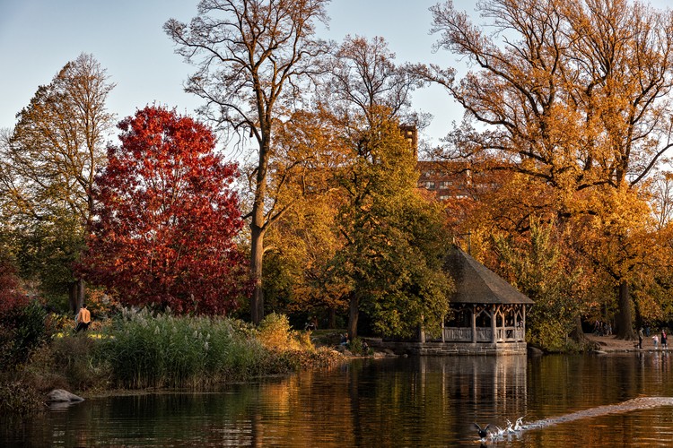 New Digital Guide Honors Pioneer of Landscape Architecture