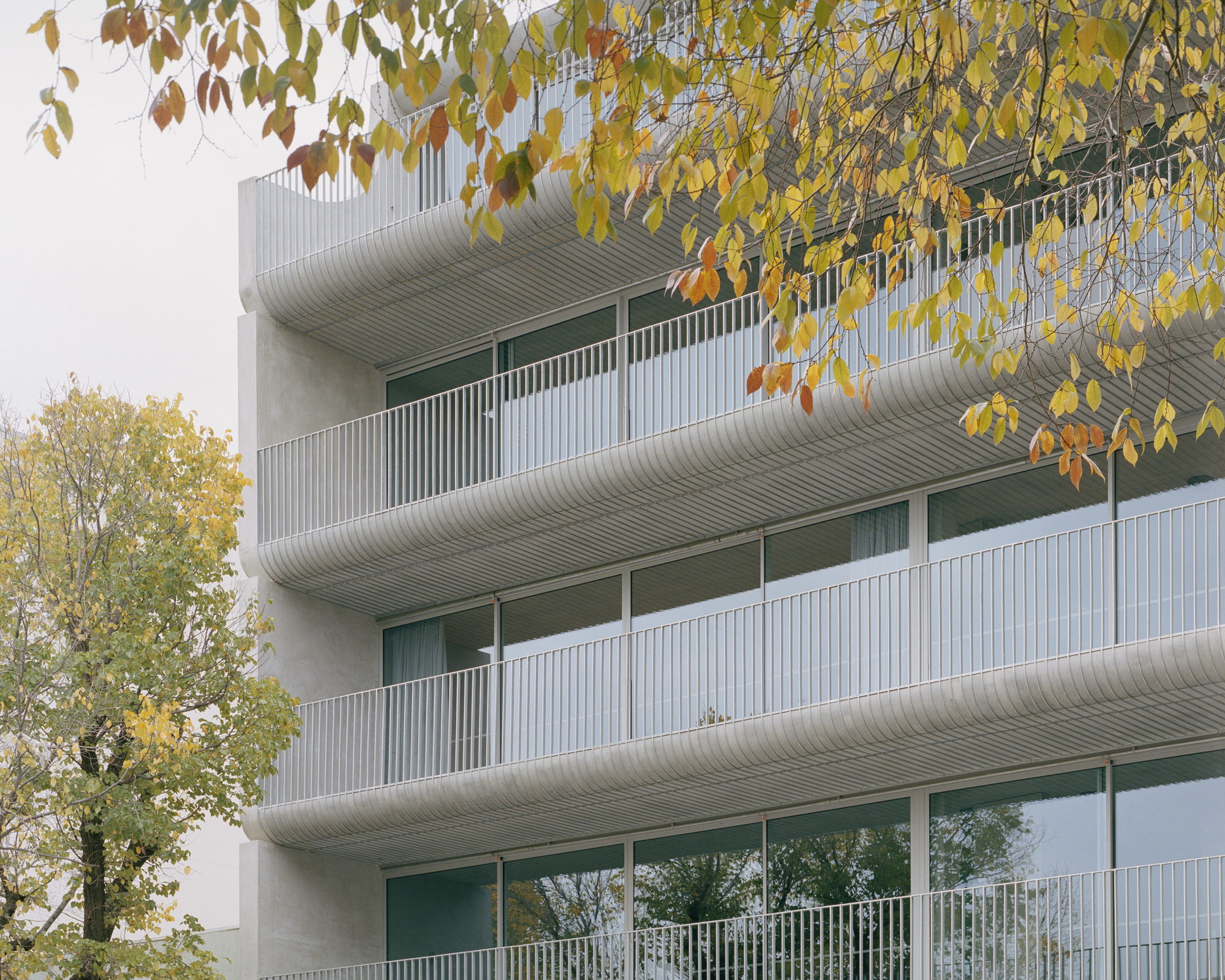 画廊 ‘卷起’混凝土,Napier 街 231号住宅楼 / Edition Office - 22
