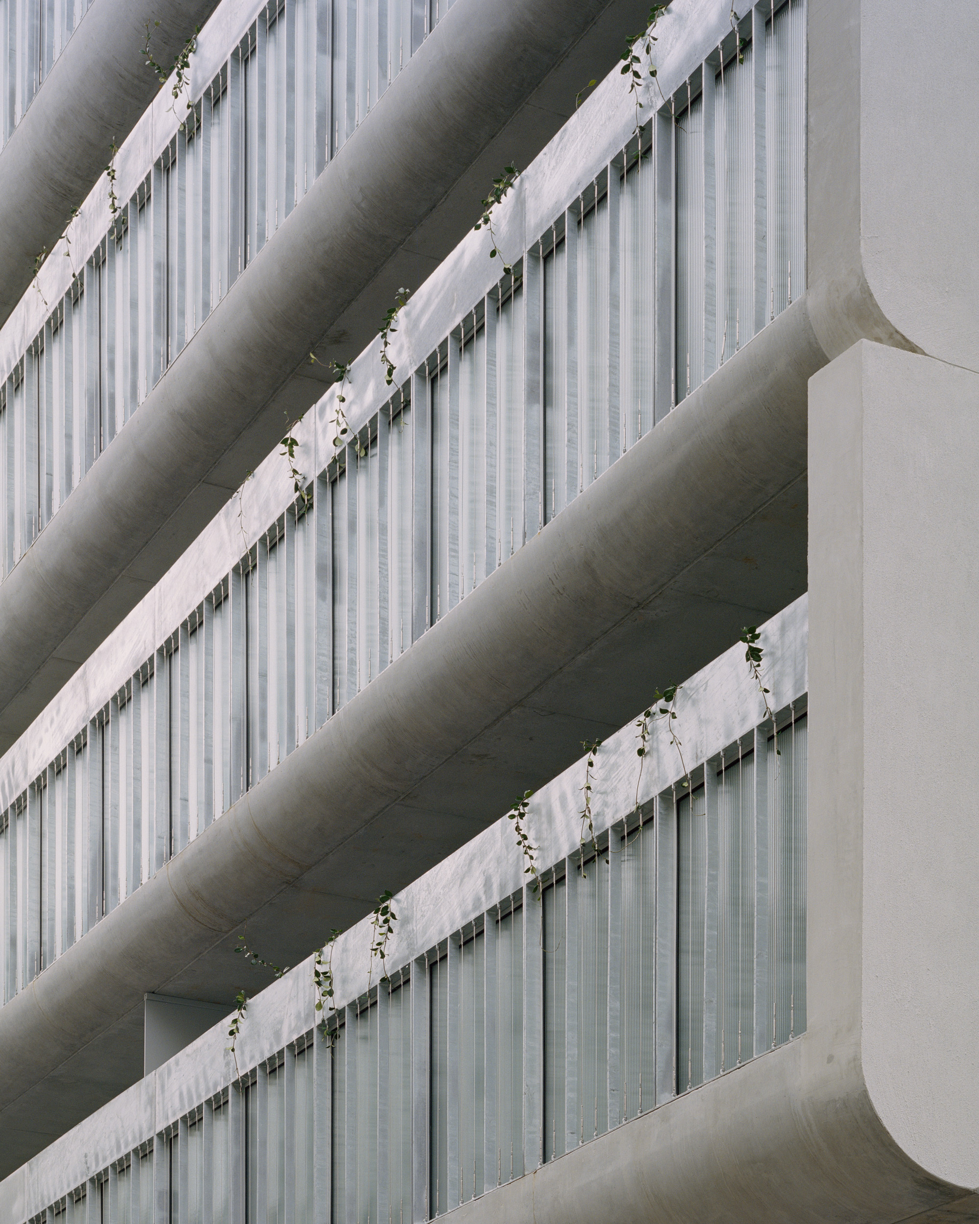画廊 ‘卷起’混凝土,Napier 街 231号住宅楼 / Edition Office - 23