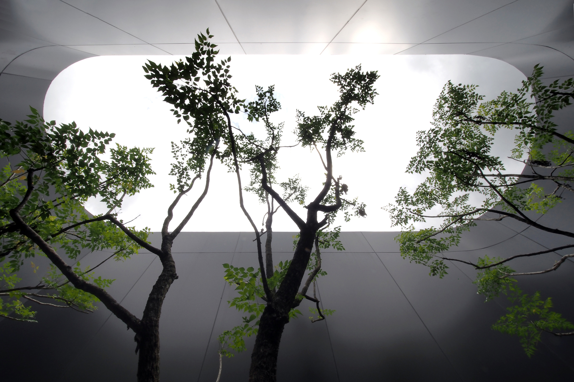 Gallery of Seven Lakes Office / ASWA 19