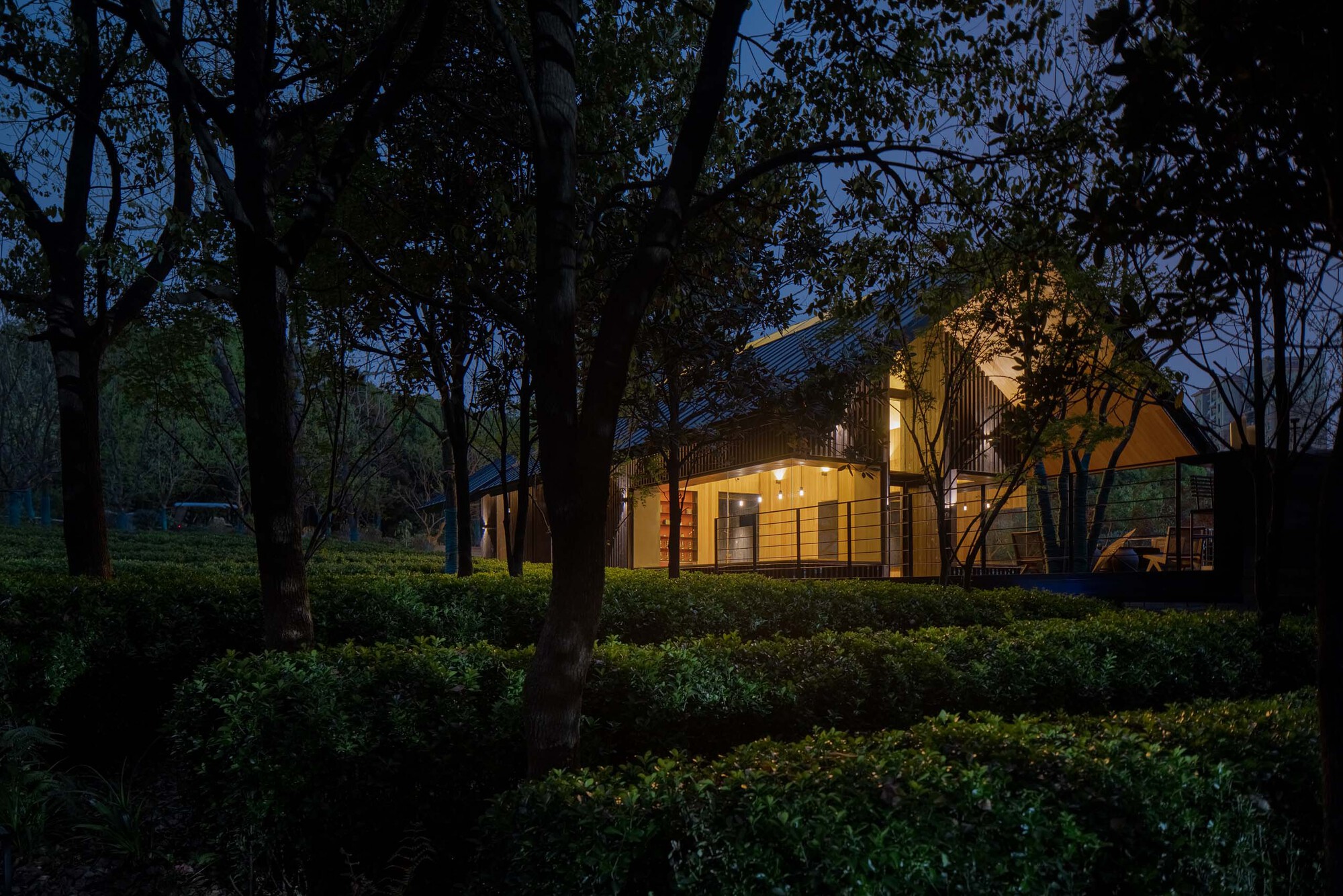 Gallery of Forest Tea House / Mix Architecture 10