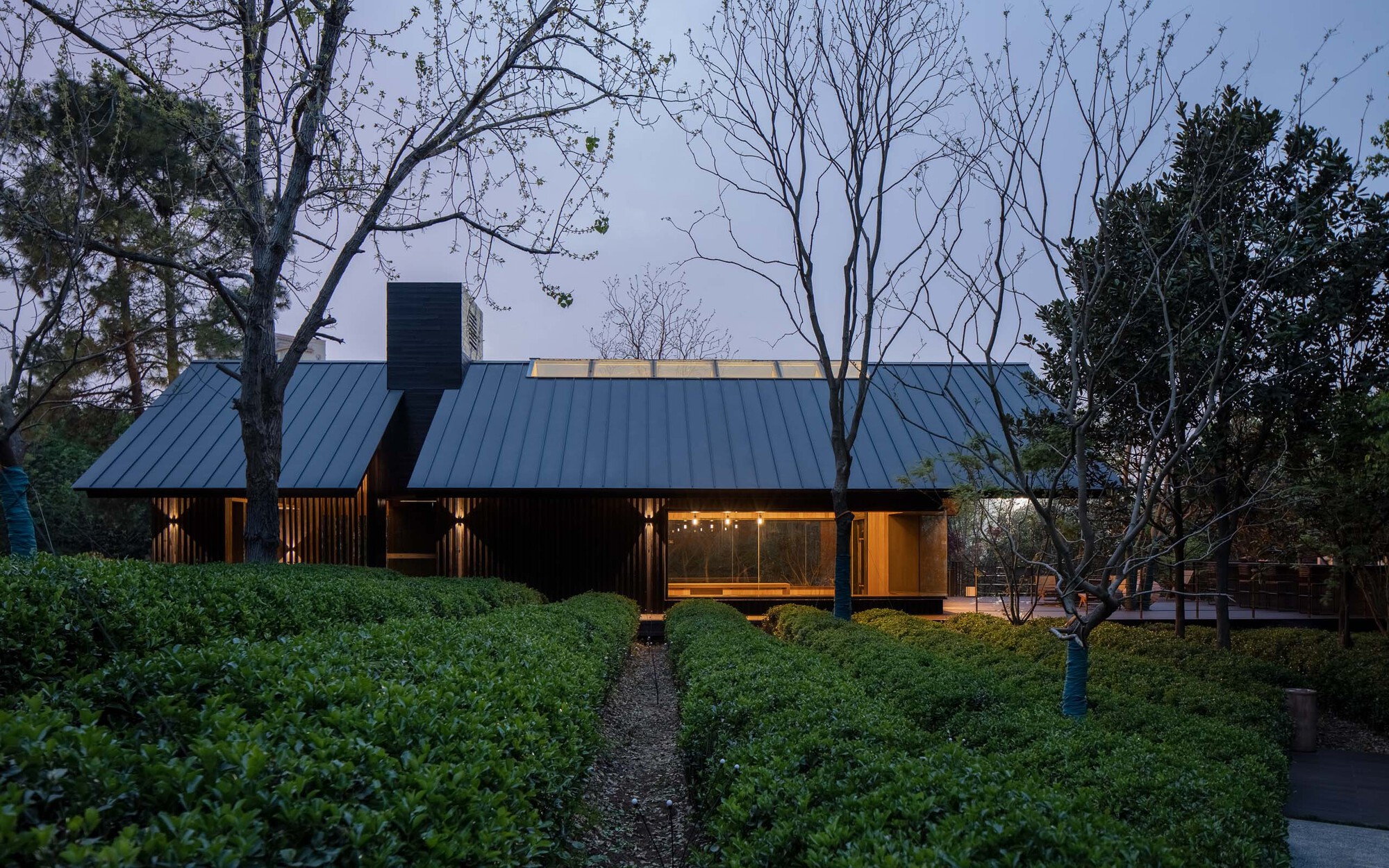 Gallery of Forest Tea House / Mix Architecture 8