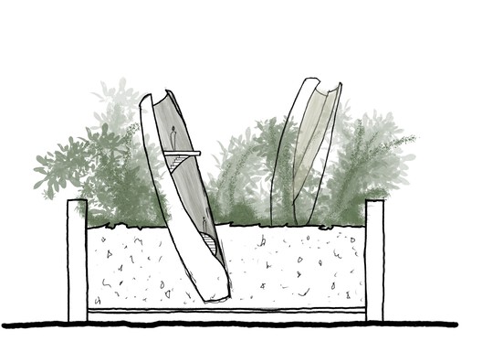 Nature's Architects trail by Museum of Architecture. Razor Clam sketch by Built Works © Built Works