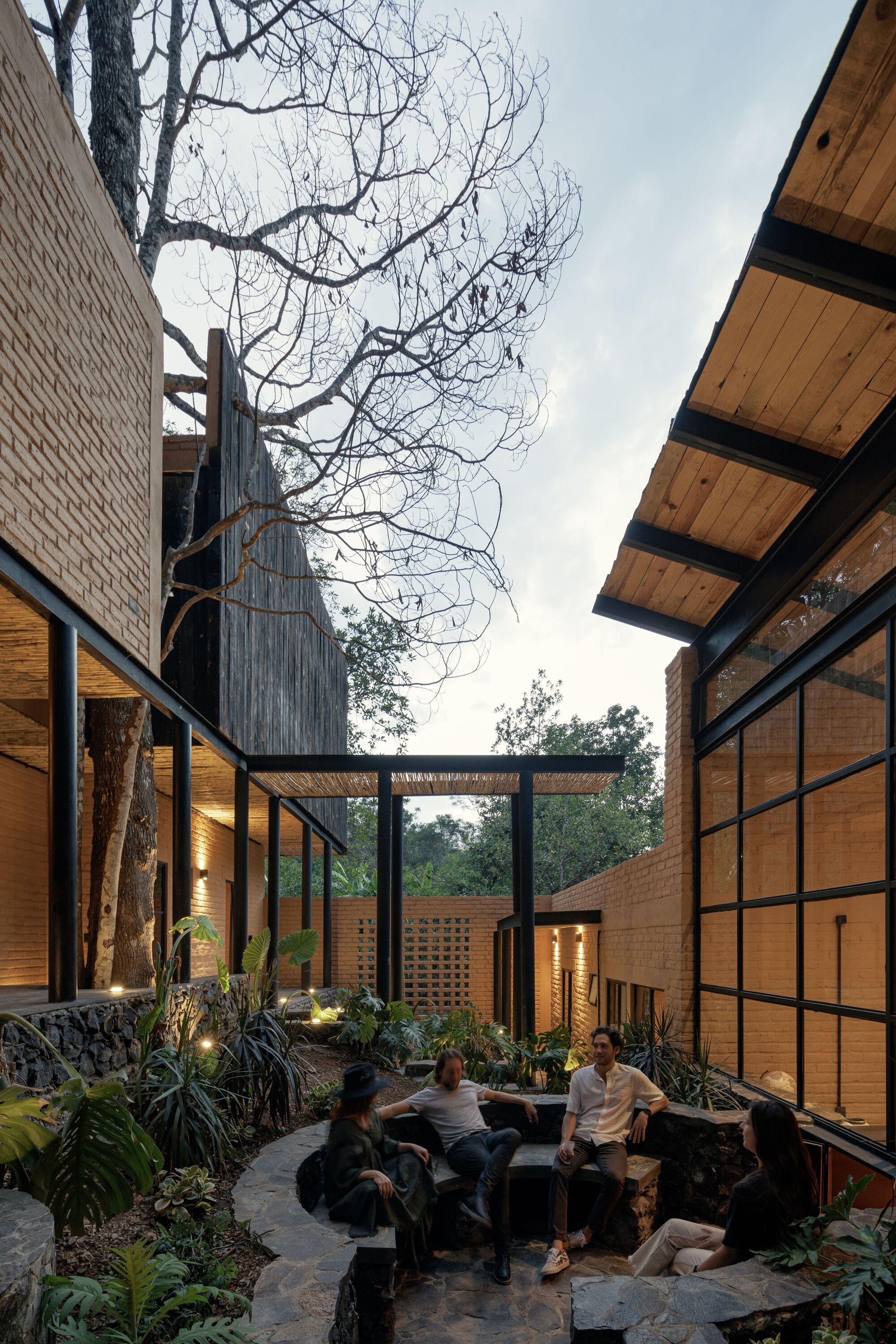 Gallery of Patio House / herchell arquitectos 15