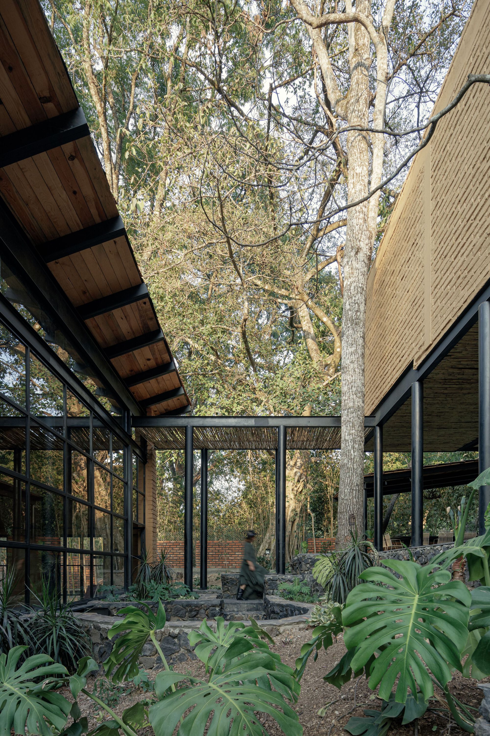 Gallery of Patio House / herchell arquitectos 7