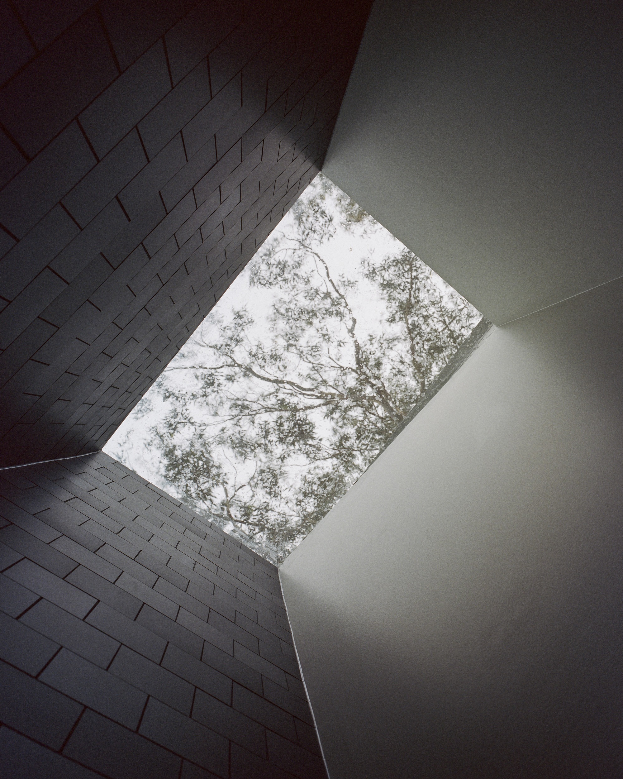 Gallery of Erskineville House / Lachlan Seegers Architect 15