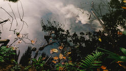 Exposición fotográfica "Trébol y Carmesí" 