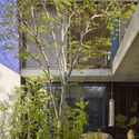Jimmy's House / MJA Studio | ArchDaily